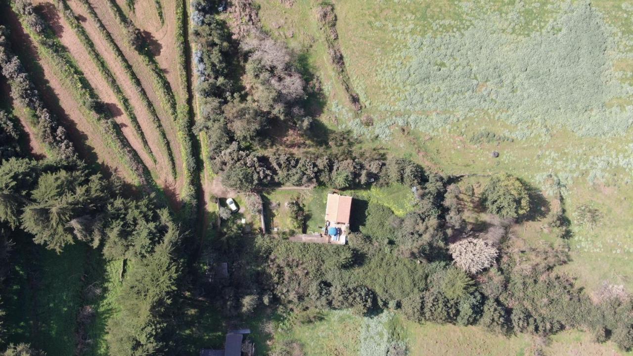 La Casita De La Esperanza Villa La Esperanza  Dış mekan fotoğraf