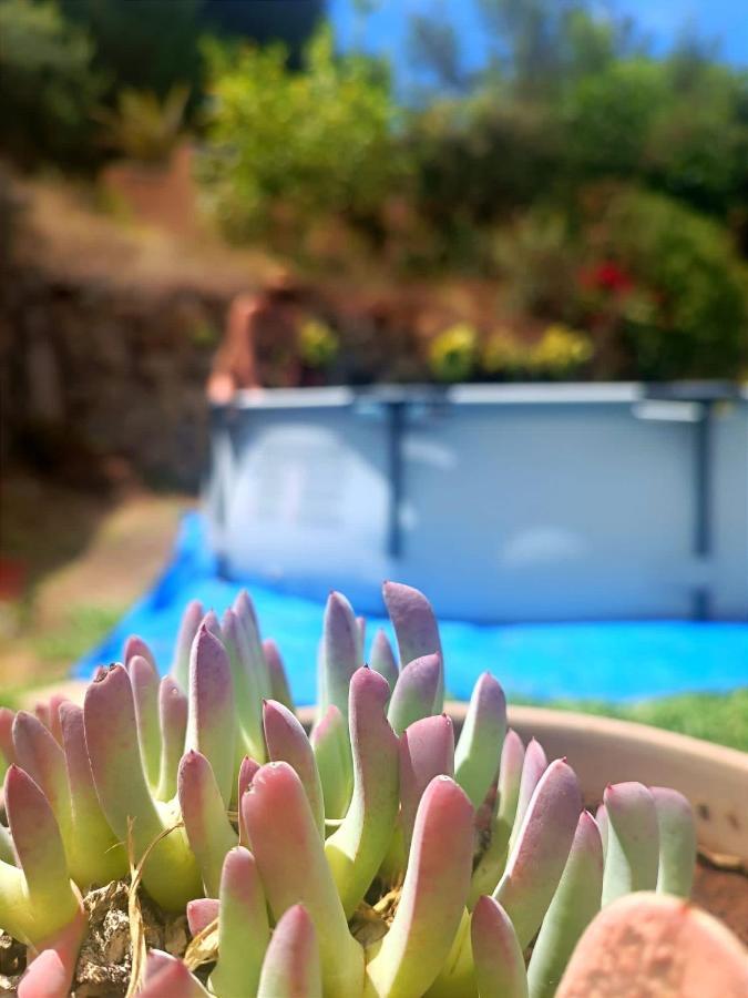 La Casita De La Esperanza Villa La Esperanza  Dış mekan fotoğraf
